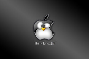 linux system